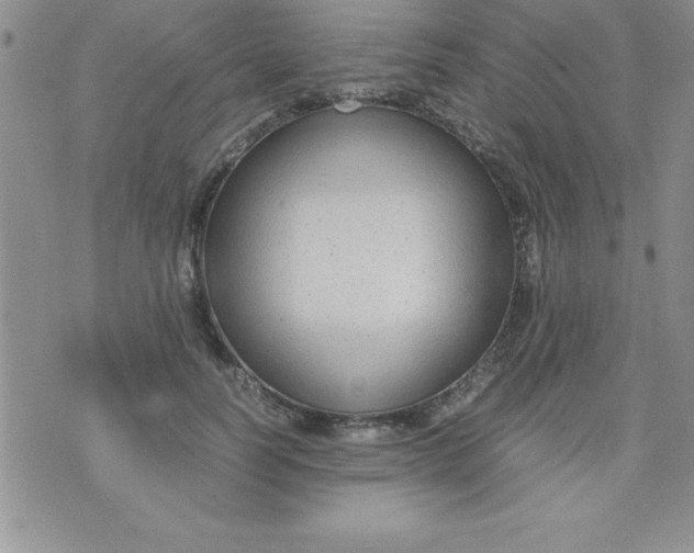 X0000071950746200607282008