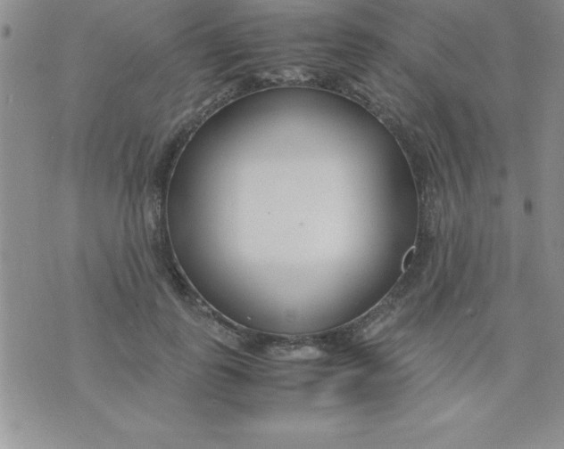 X0000071950747200607282008