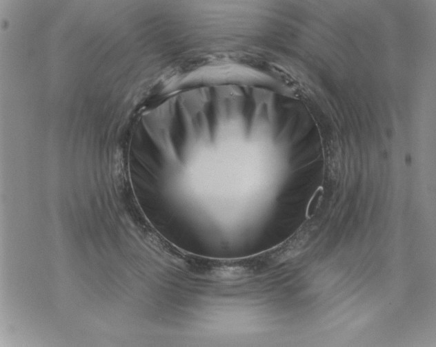 X0000071950748200607282008