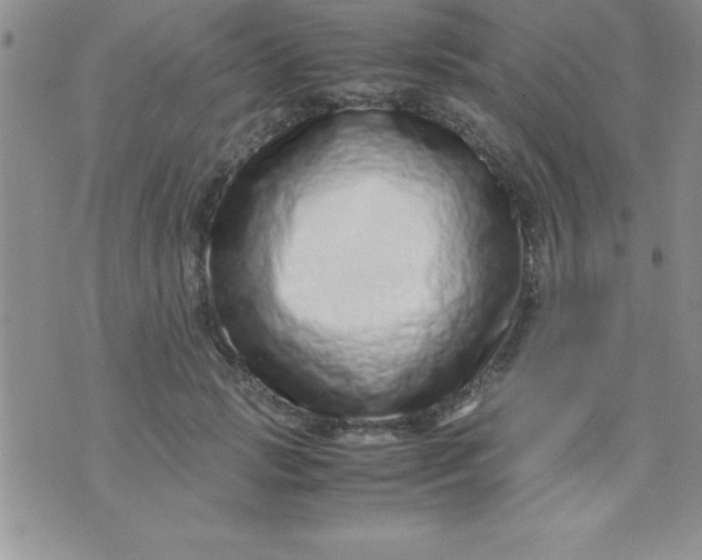 X0000071950749200607282008