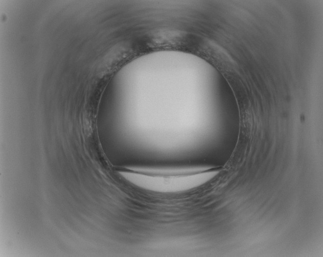 X0000071950751200607282008