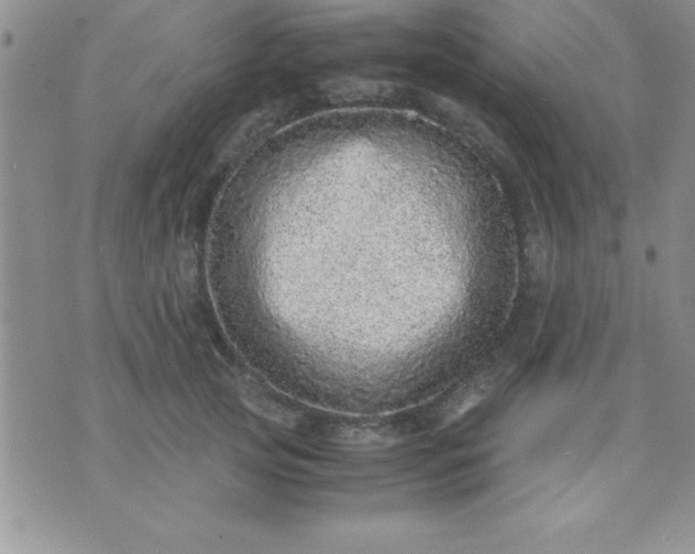 X0000071950753200607282008