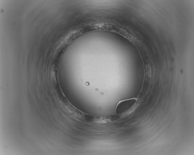 X0000071950754200607282008