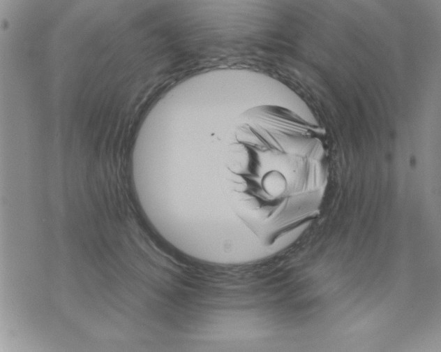 X0000071950756200607282008