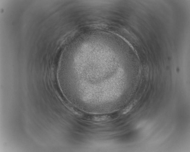 X0000071950757200607282008