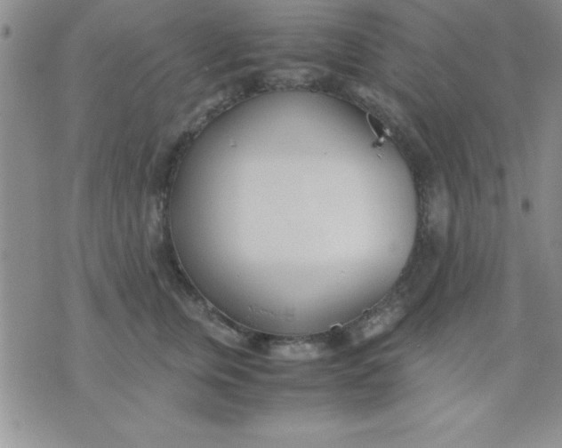 X0000071950759200607282008