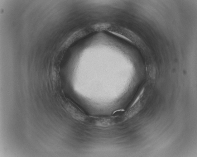 X0000071950761200607282008