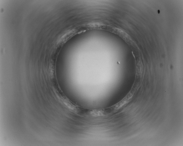 X0000071950762200607282008