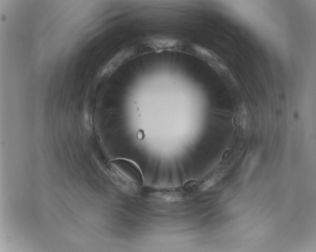 X0000071950763200607282008