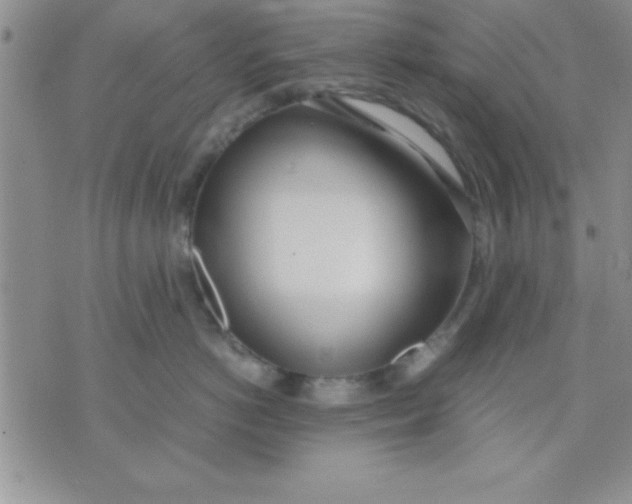 X0000071950766200607282008