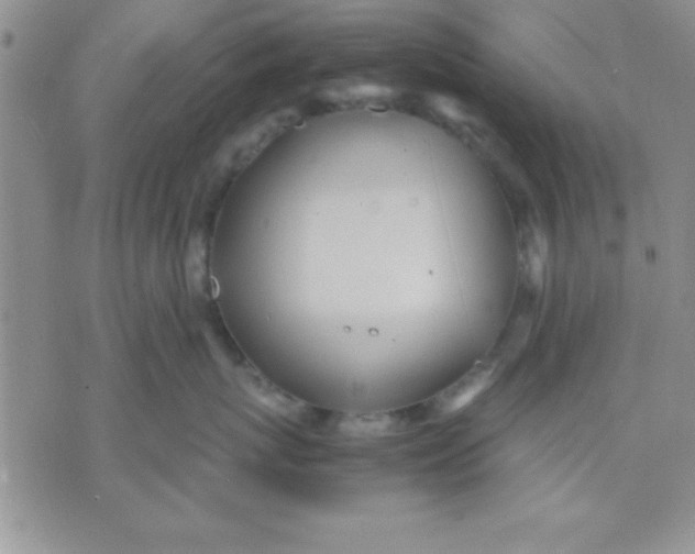 X0000071950767200607282008