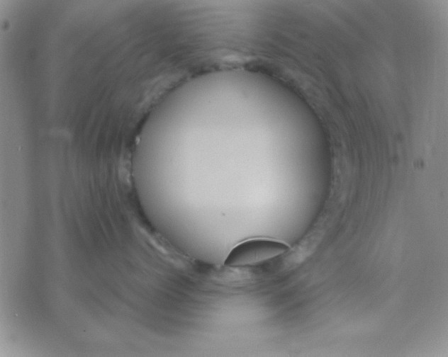 X0000071950768200607282008