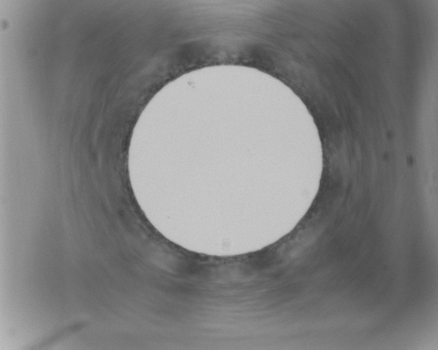 X0000071950769200607282007