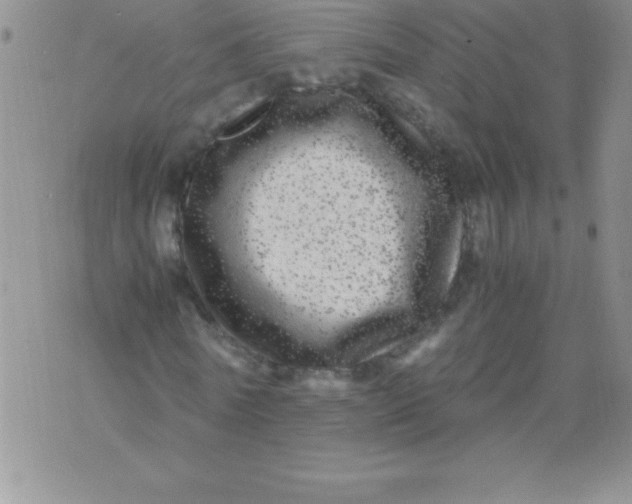 X0000071950770200607282007