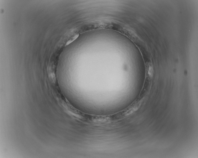 X0000071950771200607282007