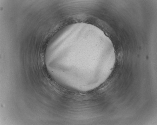 X0000071950772200607282007