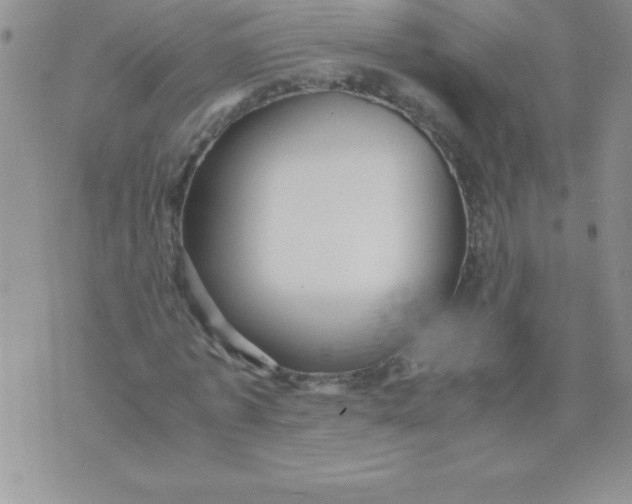 X0000071950773200607282007