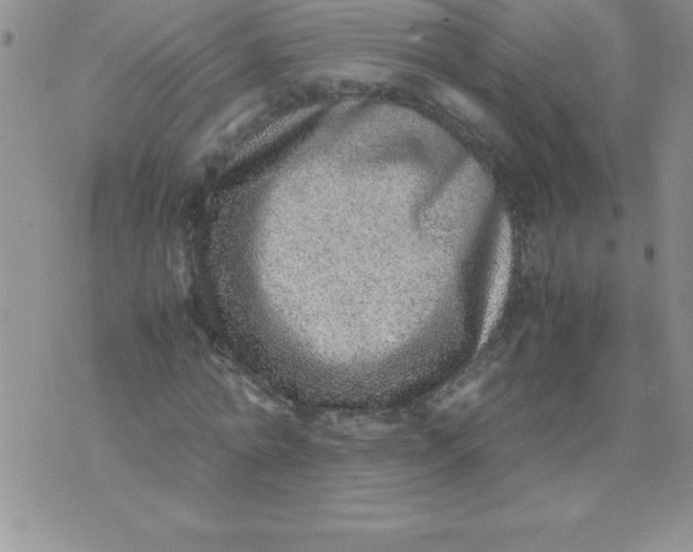 X0000071950774200607282007