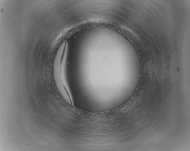 X0000071950776200607282007