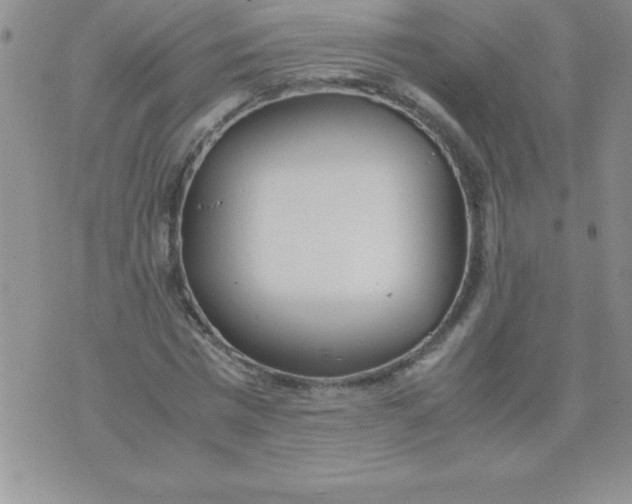 X0000071950777200607282007