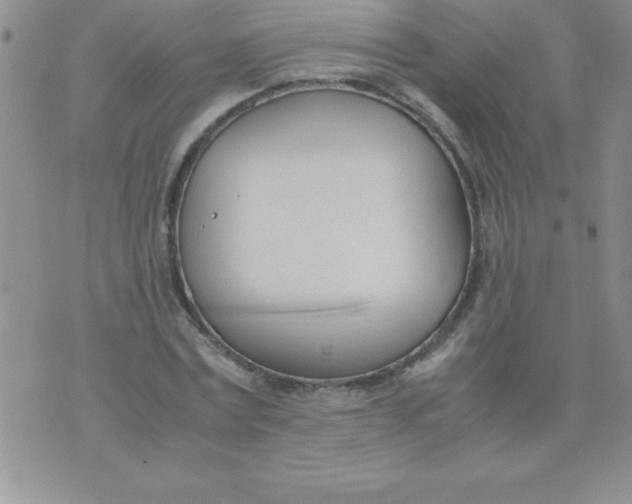 X0000071950779200607282007