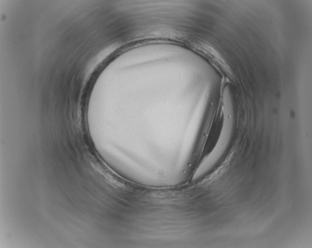 X0000071950780200607282007