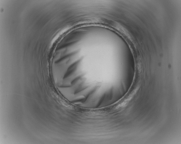 X0000071950781200607282007