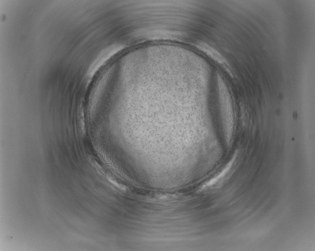 X0000071950782200607282007