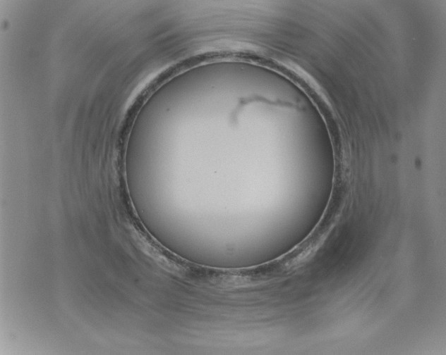 X0000071950783200607282007