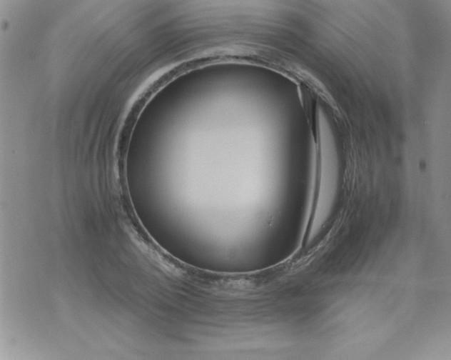 X0000071950784200607282007