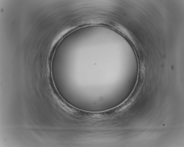 X0000071950787200607282007