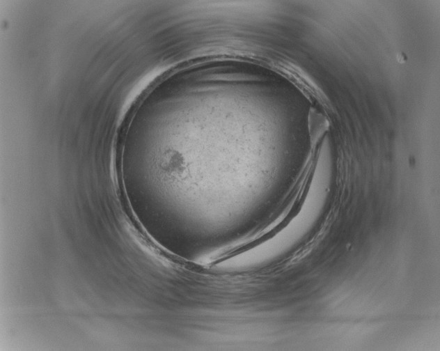 X0000071950788200607282007