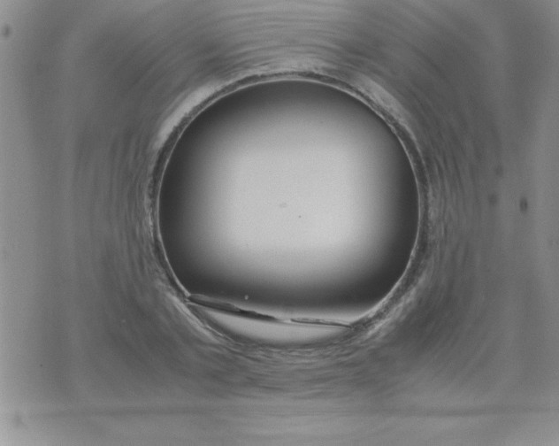 X0000071950789200607282007