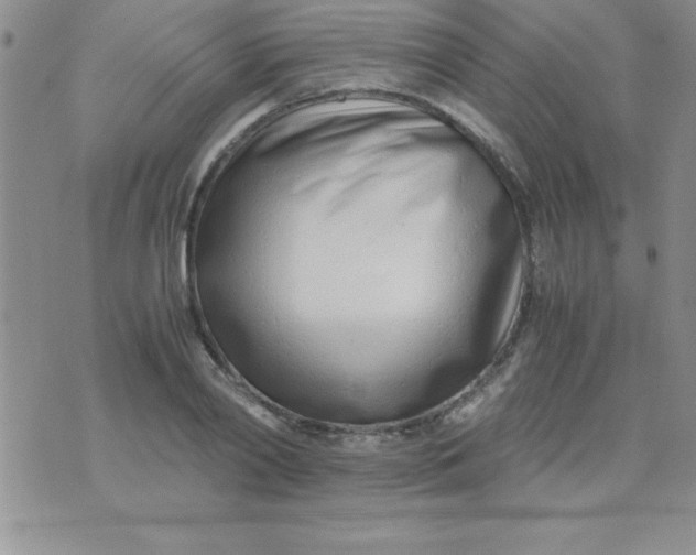 X0000071950790200607282007