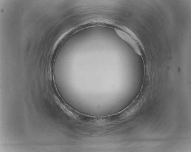 X0000071950791200607282007