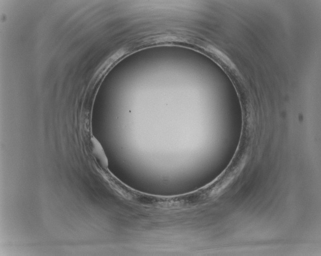 X0000071950793200607282007