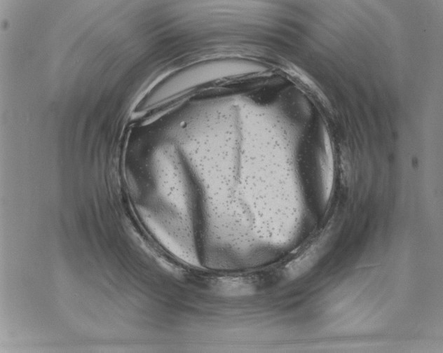 X0000071950794200607282007