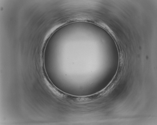 X0000071950795200607282007