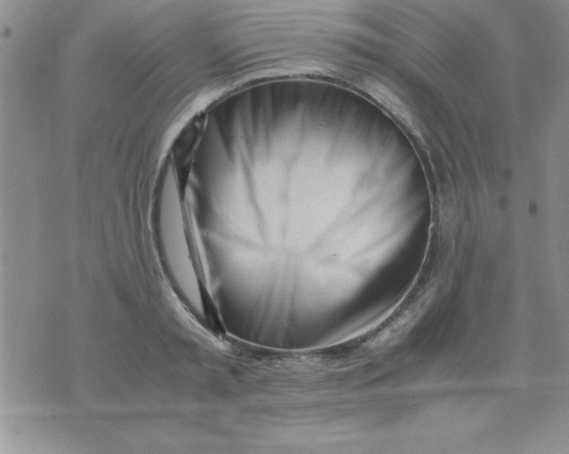 X0000071950797200607282007