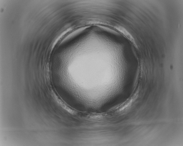 X0000071950798200607282007