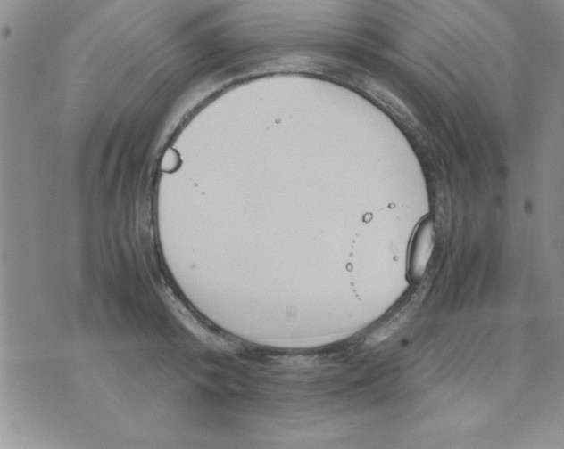 X0000071950800200607282007