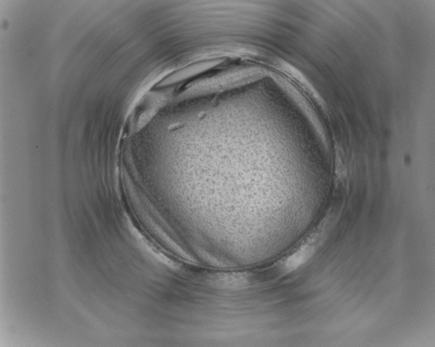 X0000071950802200607282007