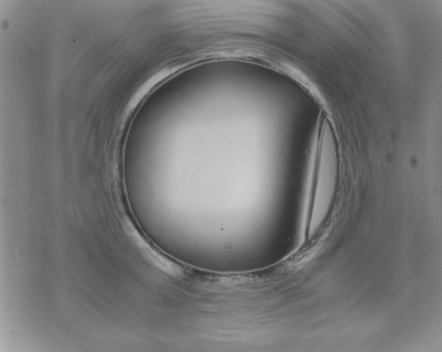 X0000071950803200607282007