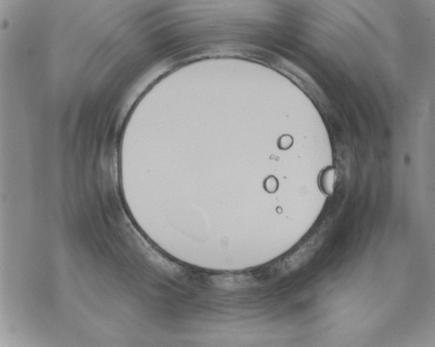 X0000071950804200607282007