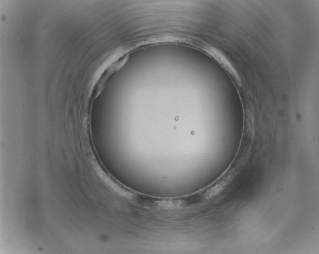 X0000071950805200607282007