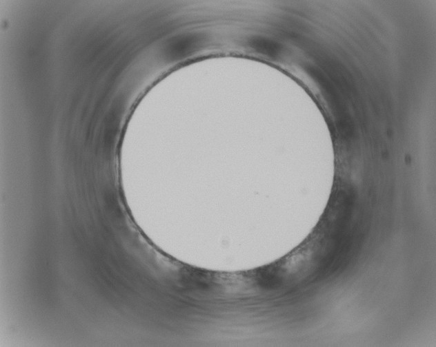 X0000071950807200607282007