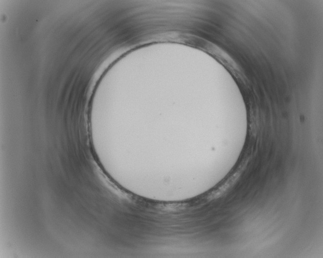 X0000071950808200607282007