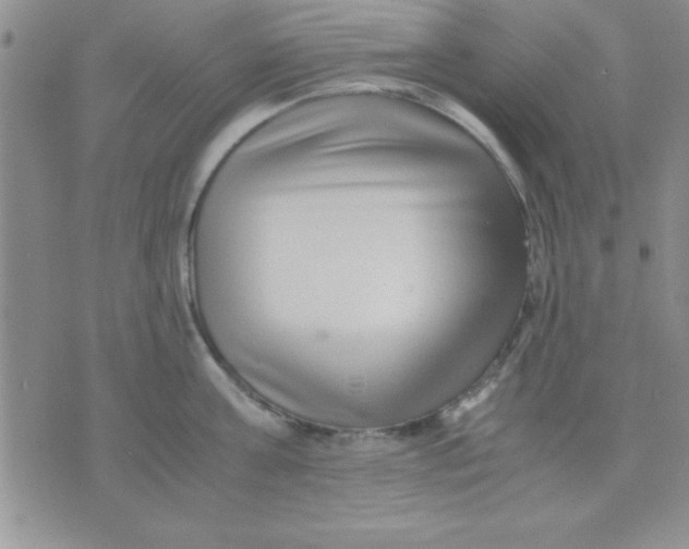 X0000071950811200607282007