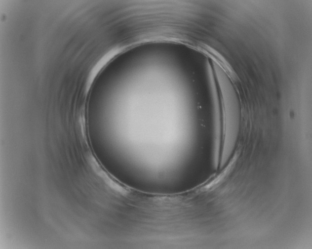 X0000071950812200607282007