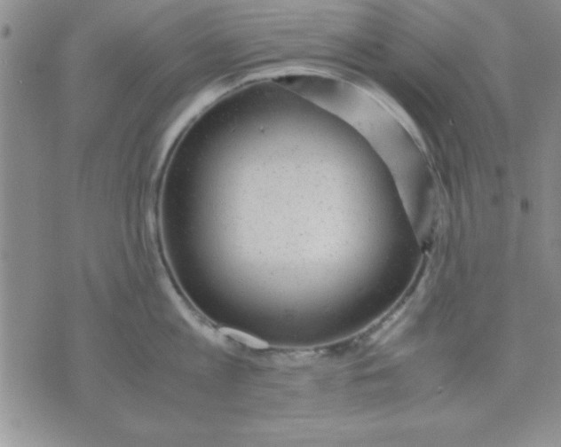 X0000071950813200607282007